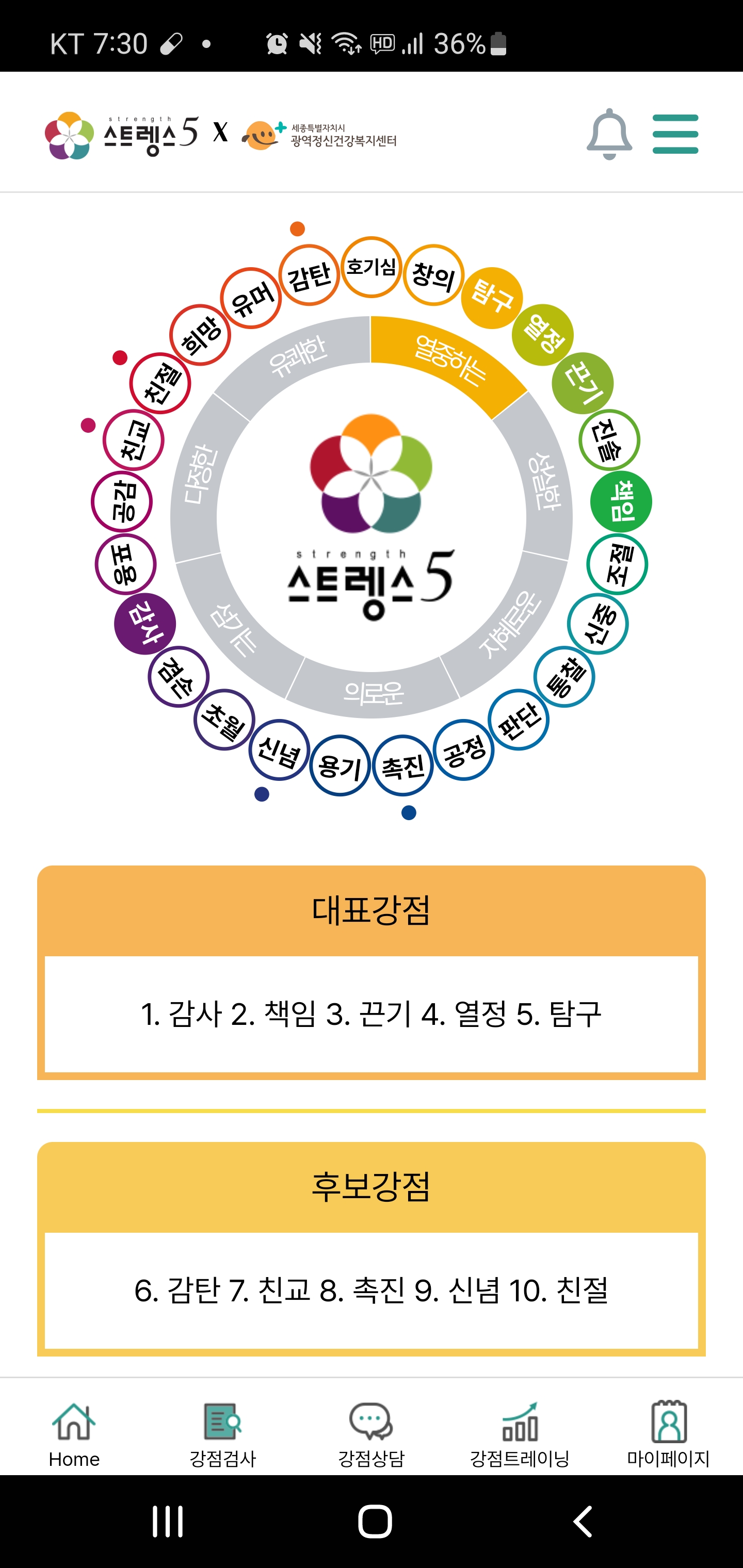 대표강점 5가지